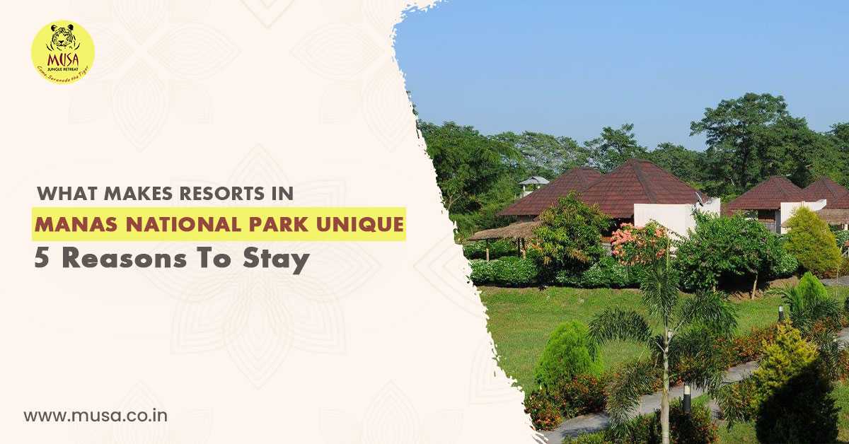 What Makes Resorts in Manas National Park Unique? 5 Reasons to Stay